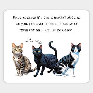 Experts state if a cat is making biscuits on you - funny watercolour cat design Magnet